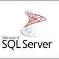SQL Server与汤臣倍健营销云接口